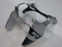 Cargar imagen en el visor de la galería, Black and Silver Monster - NINJA ZX-9R 02-03 Fairing Kit